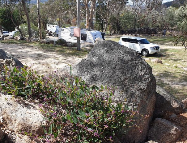 Top-Of-The-Town-Stanthorpe-Accommodation-Powered-and-Unpowered-Sites